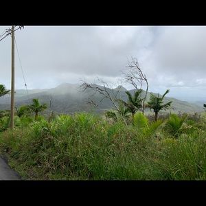 Meet your Posher, Elena